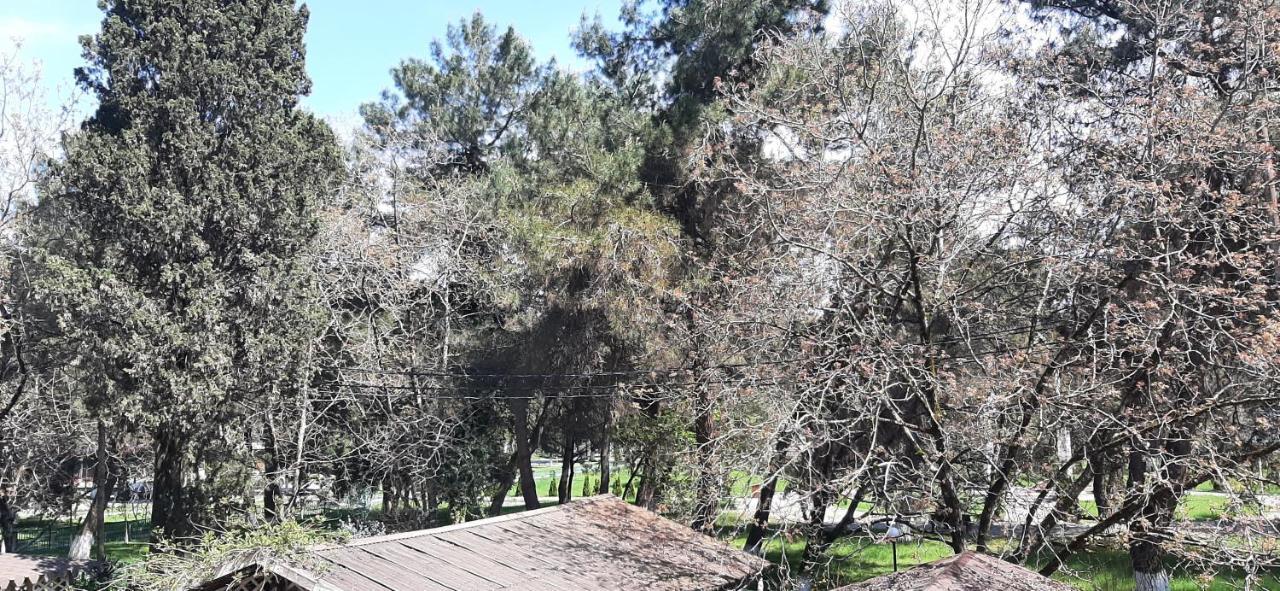 Гостиница "Курорт" Pițunda Exterior foto